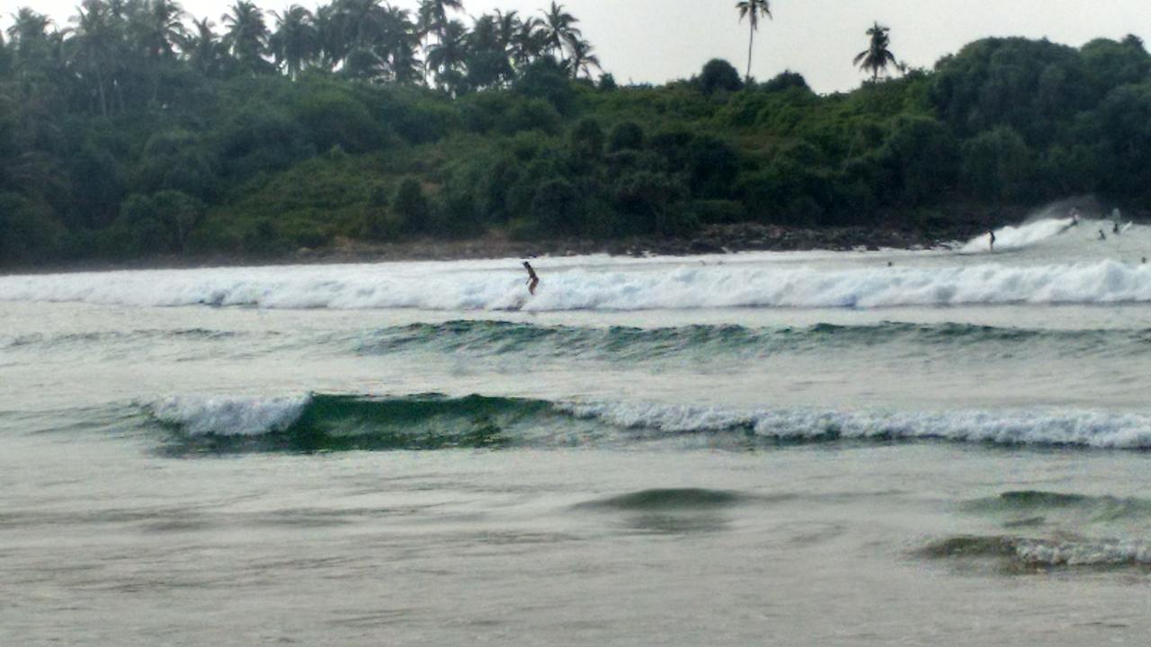 blue beach paradise Dikwella Exterior foto
